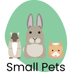 Small Pets logo designed by Nick