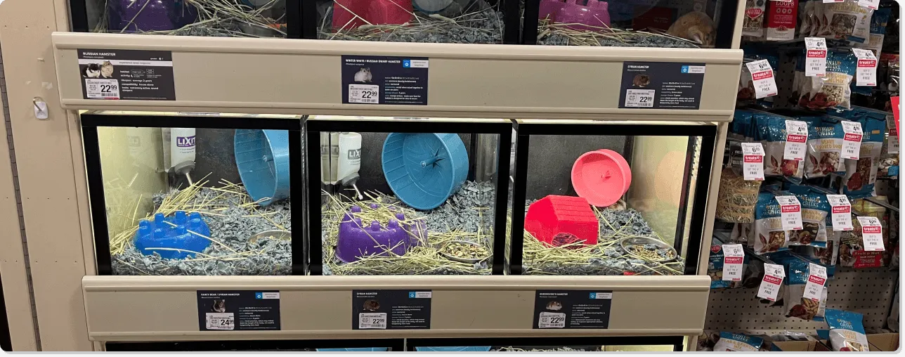 Pet store shelves full of small pet products